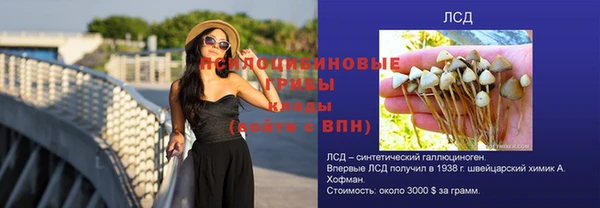 шишки Пестово