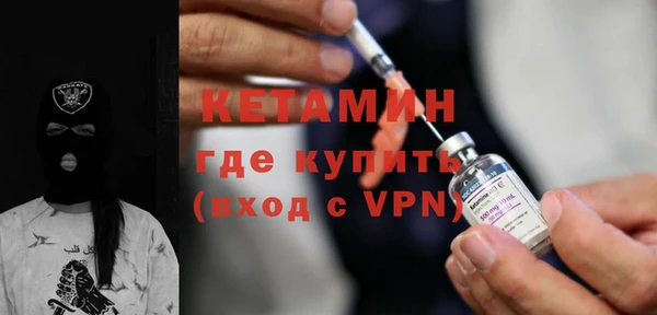 шишки Пестово