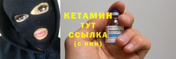 шишки Пестово