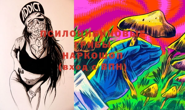 шишки Пестово