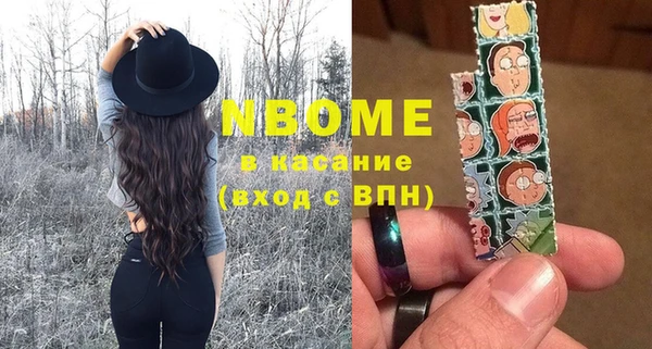 шишки Пестово