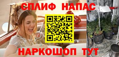 ECSTASY Моздок