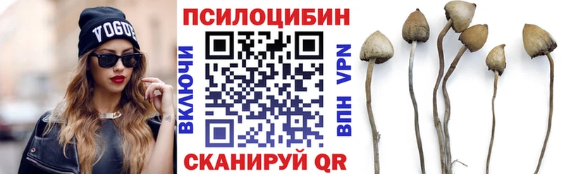 Галлюциногенные грибы GOLDEN TEACHER  мориарти официальный сайт  Советск  где продают наркотики 