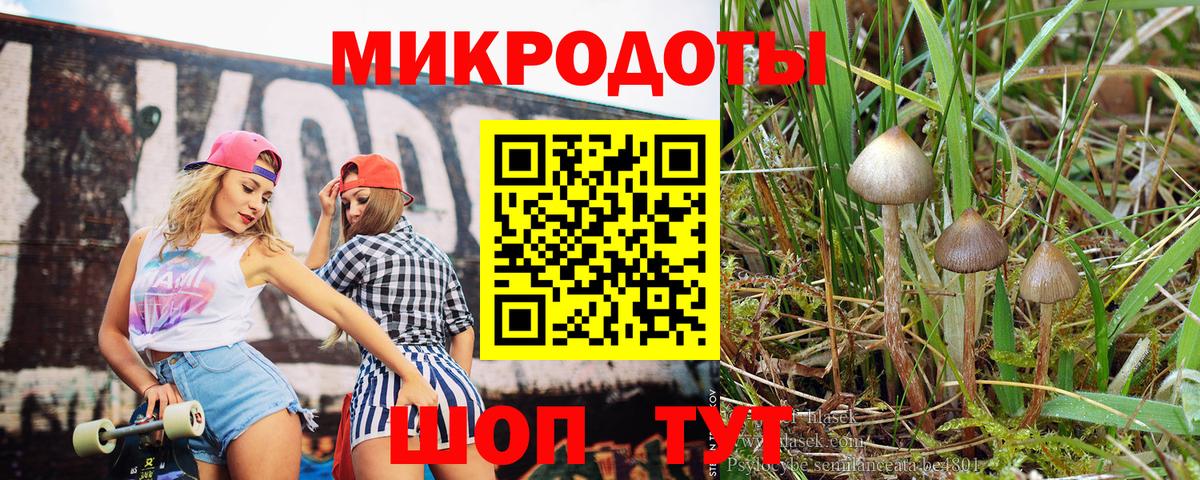 Галлюциногенные грибы мухоморы  Вход с VPN  Советск  Галлюциногенные грибы прущие грибы 